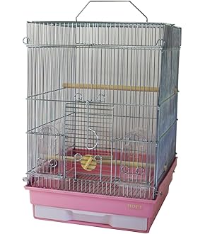 Amazon | マルカン ヒートセラミック 100W | マルカン | 飼育